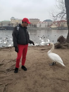 A student, Felix, feeding a swan near Vltava river.